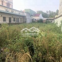 Cho Thuê Mặt Tiền 12 X 50 = 600 M2( Thổ Cư 300M) - Dưới 10 Triệu