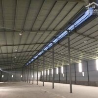 Cho Thuê Kho Xưởng Q. Sơn Trà, 500 M2 Đến 1.000M2 Giá 45 Đến 55 Nghìn/M2/Th