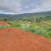 Cần Bán Lô Đất Thích Hợp Farmstay Nghỉ Dưỡng