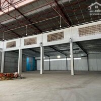 Cho Thuê Kho Chứa Hàng 710M2 Hoà Bình, Tân Thới Hoà, Tân Phú