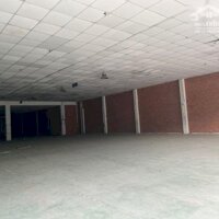 Cho Thuê Kho Chứa Hàng 710M2 Hoà Bình, Tân Thới Hoà, Tân Phú