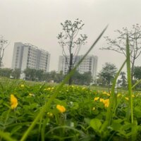 Chính Chủ Cần Bán Căn Chung Cư 3 Ngủ Kđt Hồng Hà Ecocity