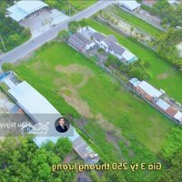 Đất Gò Chùa Đẹp, 10X100M, 20X100M, Sổ Hồng, Cách Ngã Ba Gò Chùa 550M