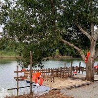 Chính Chủ Bán Vew Nghỉ Dưỡng Đập Sông Ray Sơn Bình Châu Đức 8Sào 3 Th