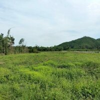 Hiếm, 33 Tỷ 50 Ha, Đất Vườn Rừng Làm Khu Dl Sinh Thái Hoà Vang, Đà Nẵng, 500M Mặt Tiền Ql1