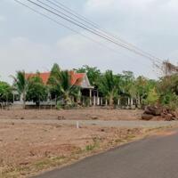 Vài lô đất tại Bình Phước ngay Thành Phố Đồng Xoài (Giai đoạn F0)