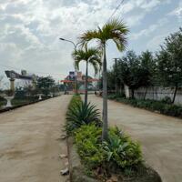 Bán lô góc view công viên Đông Sơn 115m2 sáp nhập TP Thanh Hóa giá chỉ hơn 6tr/m2