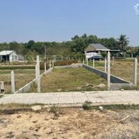 Bán đất ngay QL22 Thị Xã Trảng Bàng Tây Ninh giá 699tr SHR