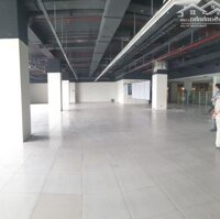 Cho Thuê 1000M2 Văn Phòng, Mbkd Tại Mipec Tây Sơn-Đống Đa