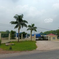 Xưởng 2,8 Hecta. Tam Lập, Phú Giáo, Bd Cần Bán Gấp