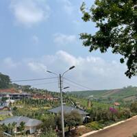 Biệt thự Kiwuki Village Bảo Lộc - Mặt tiền đường Tôn Thất Thuyết - Sổ hồng thổ cư view đồi thông và suối