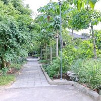 Bán Nhanh Nhà Vườn 4,700M2 Long Phước Quận 9 Tp. Thủ Đức
