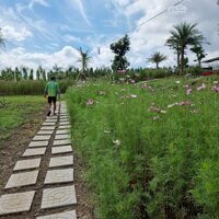 Sang Nhượng Khu Cắm Trại, Nghỉ Dưỡng, View Ven Hồ Sông Ray Siêu Đẹp - Giá Bán 22 Tỷ