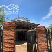 Bán Nhà 3 Mặt Tiền Giá Siêu Tốt Ở Thanh Phong, Hàm Thuận Nam. Liên Hệ: 0932749019