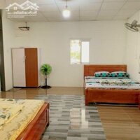 Cho Thuê Homestay Giá Rẻ,Diện Tích1.400M2 Xã Tân Bình, Tx La Gi