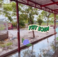 Cho Thuê Homestay Giá Rẻ,Diện Tích1.400M2 Xã Tân Bình, Tx La Gi