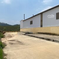 Cần Bán Gấp Nhà Xưởng Gần Khu Công Nghiệp Gần Sân Golf Mới Huyện Tam Nông