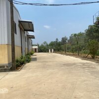 Cần Bán Gấp Nhà Xưởng Gần Khu Công Nghiệp Gần Sân Golf Mới Huyện Tam Nông