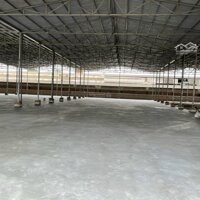 Cho Thuê 500M - 1000M - 7000M2 Diện Tích Kho Xưởng Tại Phường Ngọc Hồi, Thanh Trì. Liên Hệ: 0964859595