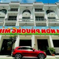 Chủ Ngợp Bank Bán Gấp 4 Căn Biệt Thự Liền Kề Tại Nguyễn Sơn - Tân Phú