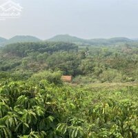 Đất Có Nguồn Thu Mạnh , View Suối, Sát Trường Học Và Chợ