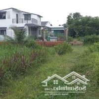 Bán Gấp Đất Nhánh Ql60 Gần Phượng Hoàng, Lương Hòa- Châu Thành - Trà Vinh