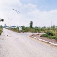 Bán Gấp Mảnh 65M2 Đất Dịch Vụ Đồng Trà Chỉ Hơn 1 Tỉ Ở Kcn Phú Nghĩa, Hà Nội