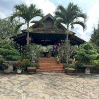 Cần Bán Mảnh Vườn Sinh Thái Tâm Huyết Gần 4Ha Ngay Thành Phố Long Khánh, Đồng Nai. Giá 60T