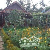 Cần Bán Mảnh Vườn Sinh Thái Tâm Huyết Gần 4Ha Ngay Thành Phố Long Khánh, Đồng Nai. Giá 60T