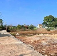 Bán Đất Trong Ngõ Gần Ubnd Xã Tân Trào, Ngõ Rộng 2,4M. Giá Chỉ 20 Triệu/M2