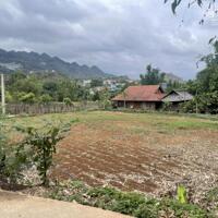 Cắt lỗ mảnh đất ở khu du lịch quốc gia Mộc Châu, Sơn La.