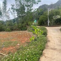 Cắt Lỗ Mảnh Đất Ở Khu Du Lịch Quốc Gia Mộc Châu, Sơn La
