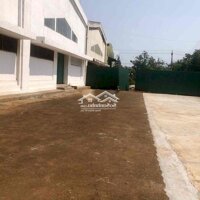 Cho Thuê Cụm Kho 2650M2 Tại Km18 Ql26 Krông Pắc- Nhận Xây Dựng Kho Mới