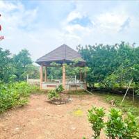 Bán Biệt Thự Sân Vườn 2166m2 View Sông nhánh Đồng Nai chỉ 17 tỷ