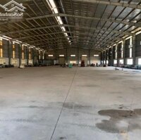 Cần Cho Thuê Nhà Xưởng Sản Xuất 3300M2 Tại Tân Thới Nhất, Quận 12.