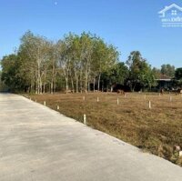 Còn Sót 2 Lô Đất 170M2/Lô, Ngay Gò Dầu, Full Thổ, Giá Ra Đi 2 Lô 350 Triệu.