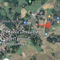 299tr có ngay 500m đất ở tại Tân Lạc-HB bám đường 15m ,đường thông các ngả,gần ủy ban,trường học