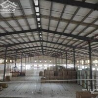 Cho Thuê Kho Xưởng Đà Nẵng, 450M2, 1.000M2, 1500M2, 2400M2, Ql 1A, Xã Hòa Châu, Hòa Vang