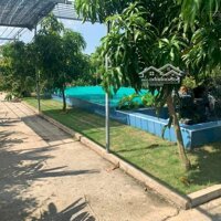 Nhà Vườn Sinh Thái 8600M2 - Chỉ 15 Tỷ Hơn - Cách Q7 Chỉ 30 Phút - Siêu Rẻ