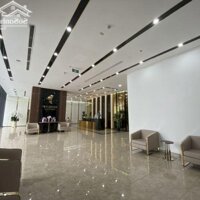 Cho Thuê Nhiều Căn Hộ Ở Chung Cư Hoàng Huy Grand Tower, Sở Dầu, Hồng Bàng, Hải Phòng