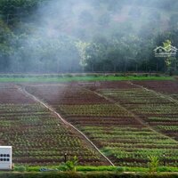 Đầu Tư - Nghỉ Dưỡng: Giá Bán 2,6 Tỷ/Căn Sở Hữu Biệt Thự 400M2 Tặng Gói Nội Thất 500 Triệu - Liên Hệ: 0866448944