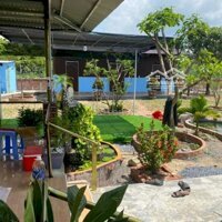 Cho Thuê Căn Nhà Vườn Nghỉ Dưỡng Tâm Huyết Tại Trảng Bom Đồng Nai