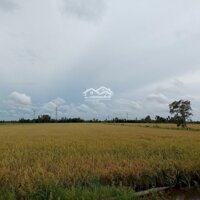 Đất 3 Mặt Tiền - Vị Trí Đẹp - Giá Ưu Đãi Tại Ấp Nam Hải - Bến Nhứt - Giồng Riềng - Kiên Giang