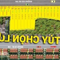 Bán Đất Vườn 1269M2 Có 2 Tỷ Nguyễn Thị Đỡ Tân Thạnh Tây Củ Chi Tphcm