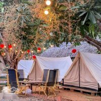 Cho Thuê Đấtmặt Tiềnbiển Cần Giờ Làm Camping