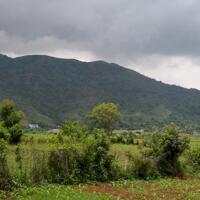 Đất nghỉ dưỡng 1000m 700m thổ cư Hợp Phong cao Phong Hoà Bình giá rẻ