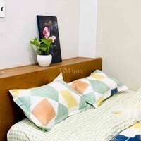 Ch Nguyễn Trãi Q1, Có Thang Máy, 28M2, Full Nội Thất 100% Hình Thật