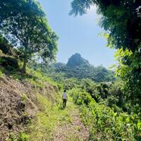 SIÊU PHẨM VIEW LÒNG HỒ HÒA BÌNH CỰC KÌ ĐẸP CÓ DIỆN TÍCH 1,1HA  CHỈ CÁCH HÀ NỘI 70KM