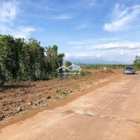 Đất Mặt Tiền Đường Betong Liên Xã Ở Huyện Cư Kuin Daklak
