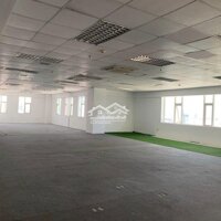 Cho Thuê Vp Diện Tích Lên Đến 1400 M2 Trung Tâm Thành Phố Đà Nẵng